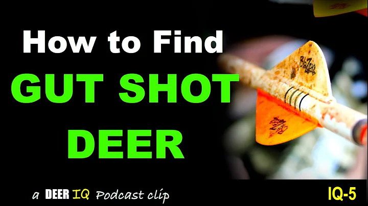 How to Find GUT SHOT DEER