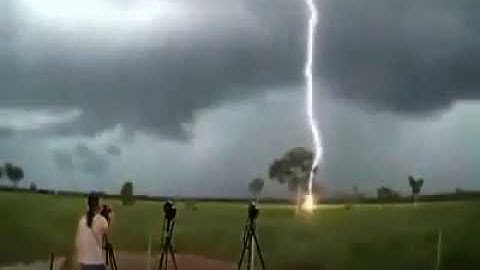 Vídeo flagra raio caindo em árvore