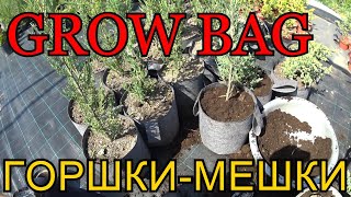 Grow Bag. Горшок - мешок. Горшок из геотекстиля. Что это такое? Подробный обзор.