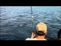 Lake Michigan King