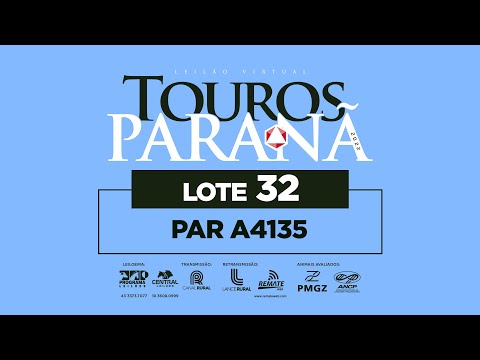 LOTE 32 PAR A4135