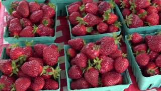 Farmer's Market on Front Street #2