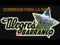 los alegres del barranco el 50 en vivo