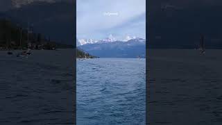 Thunersee, BE  #switzerland#thunersee