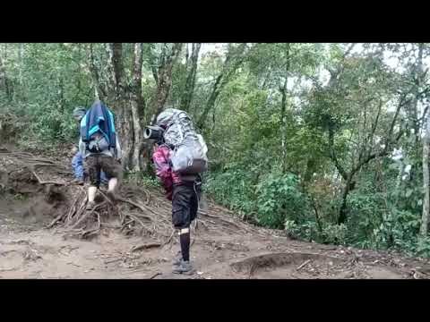 Pendakian Gunung Cikuray Via Pemancar Mdpl 2821 Garut Jawa Barat Youtube
