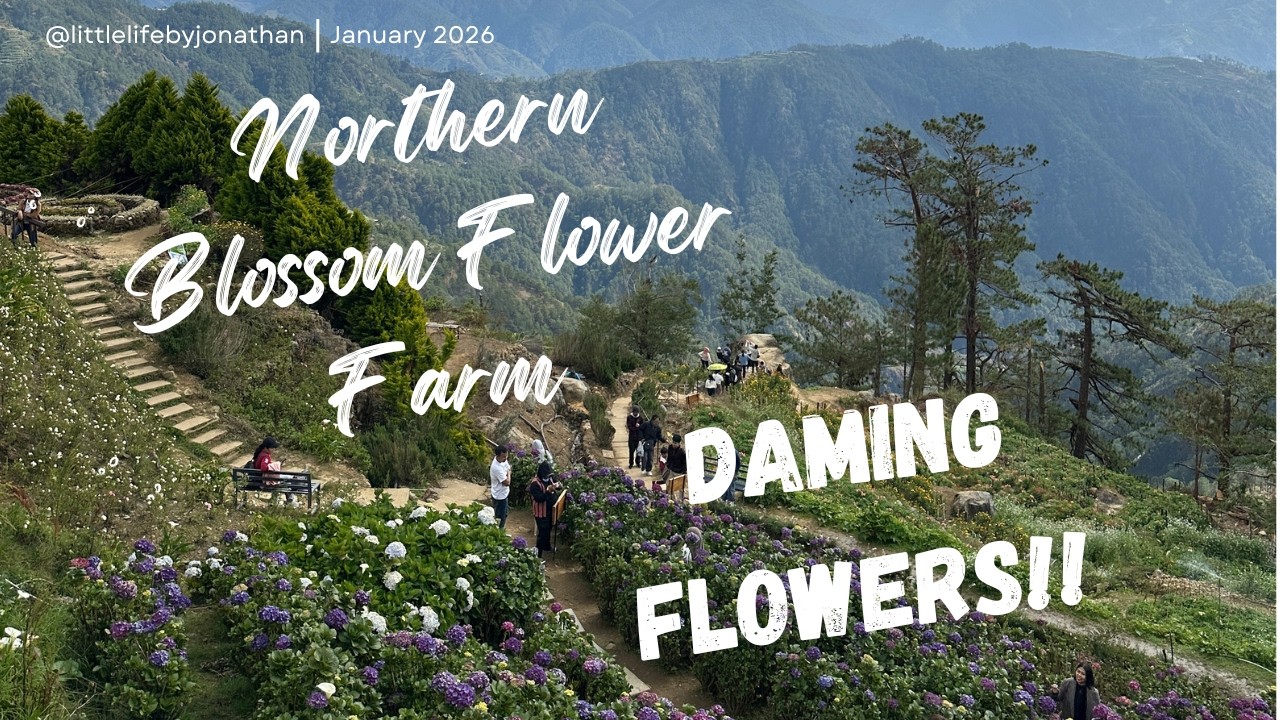 Northern Blossom Flower Farm | A Slow Morning in Atok, Benguet