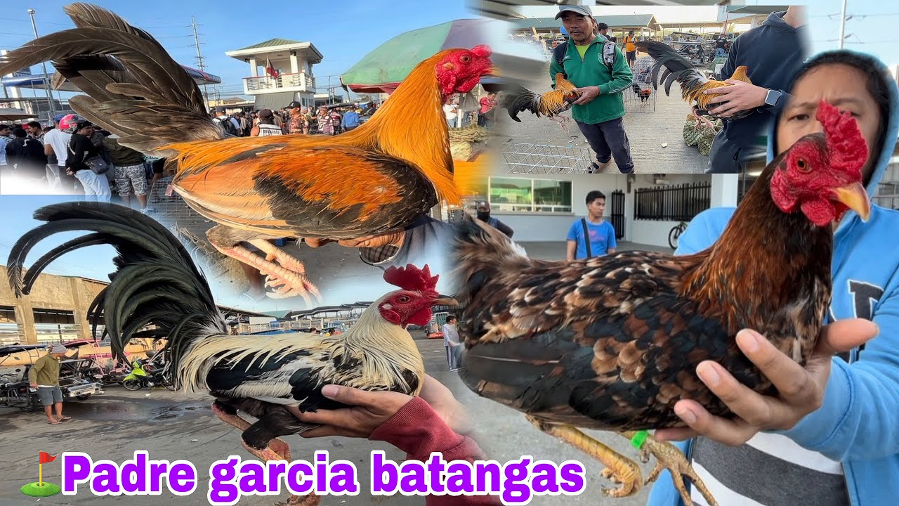 March 03 2026 in Padre garcia batangas…