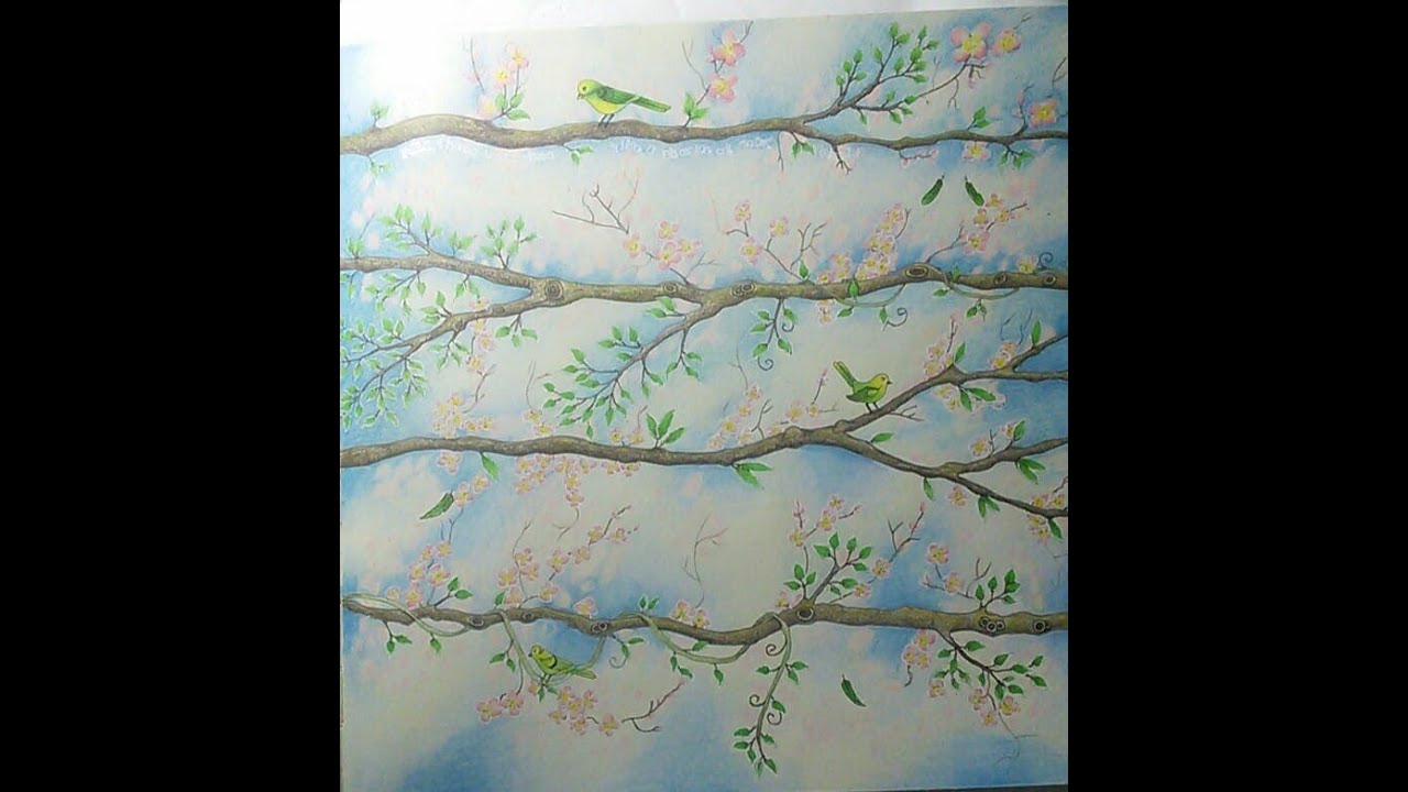 How I Colour Backgrounds in Johanna Basford Books (adult coloring)