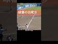 優秀な審判からの珍しい指摘が入る #プロ野球 #野球