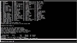 LVM extend