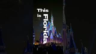 This is Florida! 🏰☀️🐊