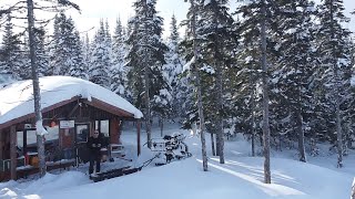 Testing 5 stoves At The Remote Cabin.  Episode #59