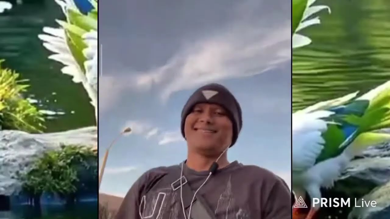 EDIS TV JAWAB SENDAL PINK