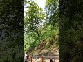 kamakhya jua path #viral #pk