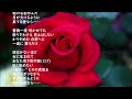 中森明菜・・薔薇一夜