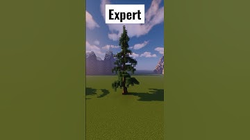 3 Levels of Custom Tree Designs