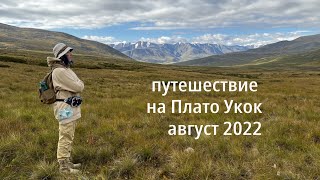 Путешествие на Плато Укок,август 2022\Journey to the Ukok Plateau, August 2022