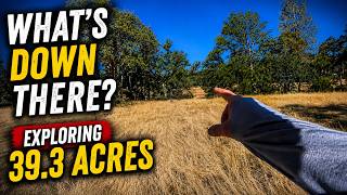 Exploring 39.3 Off Grid Acres of Land For Sale, Rural Privacy Near Redding, CA