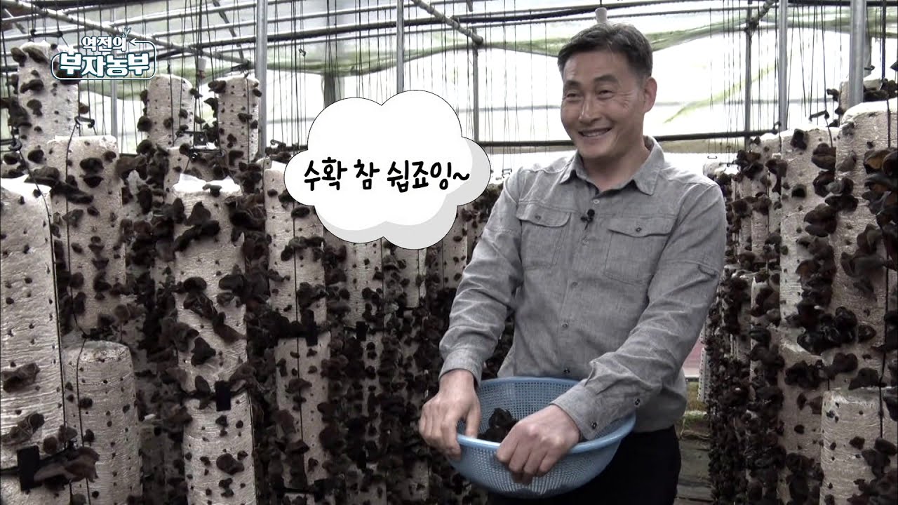 [93회]  국내산 목이버섯 재배 최초 성공! 연 매출 6억?