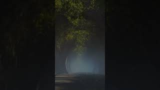 Tapınak Yolunda Huzur Bul Ruhunuzu Dinlendirin Ve Geceyi Huzurla Karşılayın ,