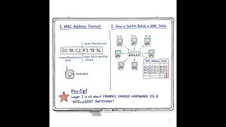OSI Layer 2 : MAC Addresses #cybersecurity #mac #networksecurity #cissp