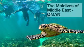 Daymaniyat Islands | The Maldives of Middle East - OMAN | Snorkeling and Diving | The Nature Reserve