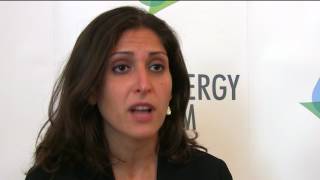 UNIDO's Rana Ghoneim at the VEF 2017