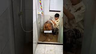 Son chien était rempli de boue… 🐶😳
