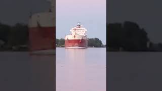 BIG OLD LAKER heading my way