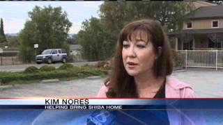 Gilroy Murder Suicide Victim's Dog Missing