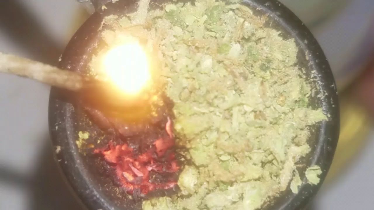 BLUEBERRY GRAPEFRUIT CLOSE UP !!!!!!!