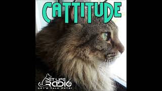 Cattitude -  Episode 0 Introduction - Welcome to Cattitude
