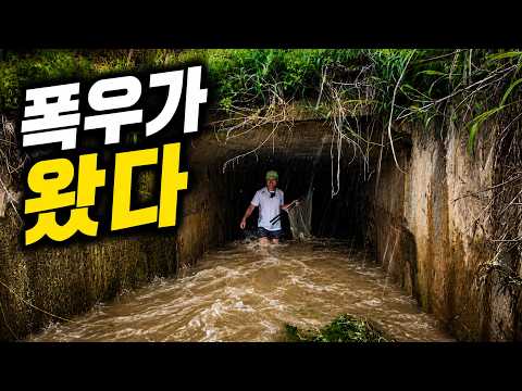 이렇게 비가 왔는데 아무것도 안나온다고..? thumbnail