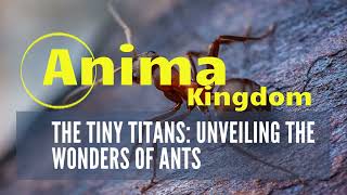 The Tiny Titans: Unveiling the Wonders of Ants
