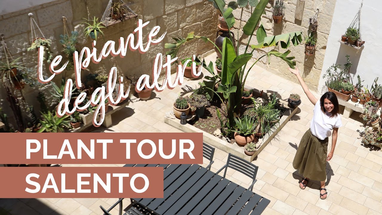 PLANT TOUR IN PUGLIA | +150 piante grasse da sballo