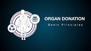 The Principles of Brain Death Testing