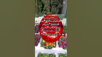 #سورة_الفلق #قاری_عبدالباسط #اكسبلور #دحمان #villagelife #duet #البرزخ #تيك_توك #الرحمن #لايك