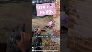 Свободным человека может сделать только нож! #pubg 🔪 #funnymoment 🔪 #gaming 🔪 #animal 🔪