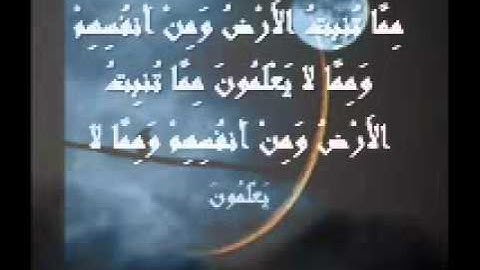 سورة يس الشيخ مصطفى خميس من صلاة التراويح