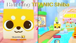 Hatching TITANIC Shiba | Pet Simulator 99