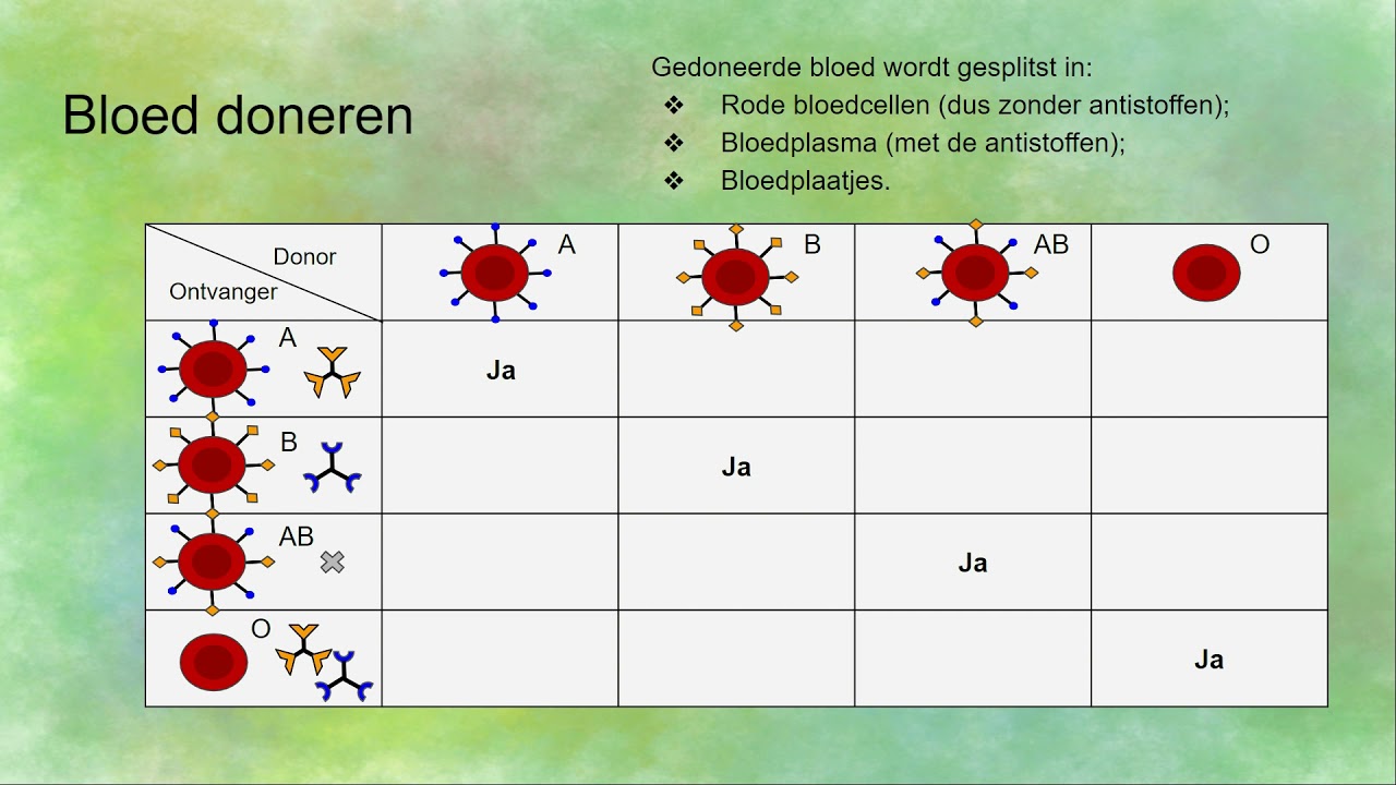 Bloedgroepen A B Ab En O En Bloed Doneren Youtube