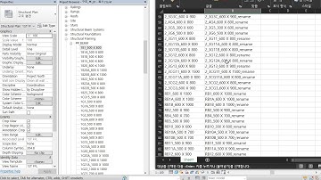 REVIT API 패밀리 리네임