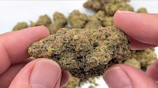🍬✨ LIT FARMS | SUGAR TAB Oz | SUPREME TAB | THCA REVIEW ✨🍬