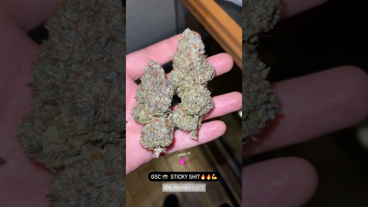 Girl Scout Cookies (CHECK DESCRIPTION) 