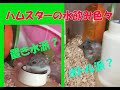 我が家のハムスターの水飲み容器色々