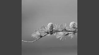 Lovely Moods for Sleeping In