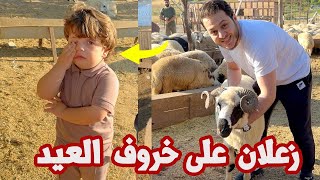 خروف العيد هرب من عصومي | تحضيرات اضاحي العيد !!