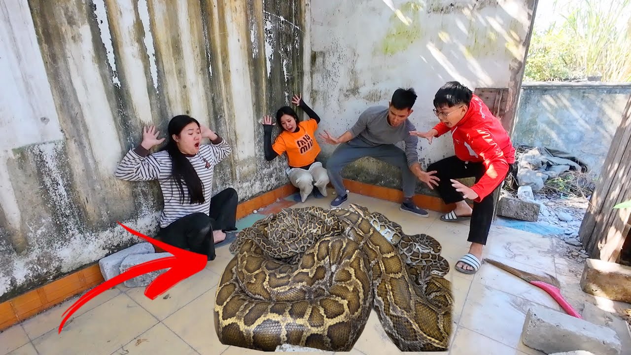 Команда отважных охотников спасла девочку, подвергшуюся нападению 10 анаконд в заброшенном доме.