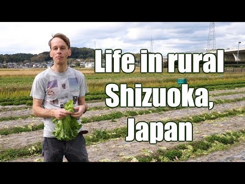 Life in rural Shizuoka Japan: Highlights from the countryside