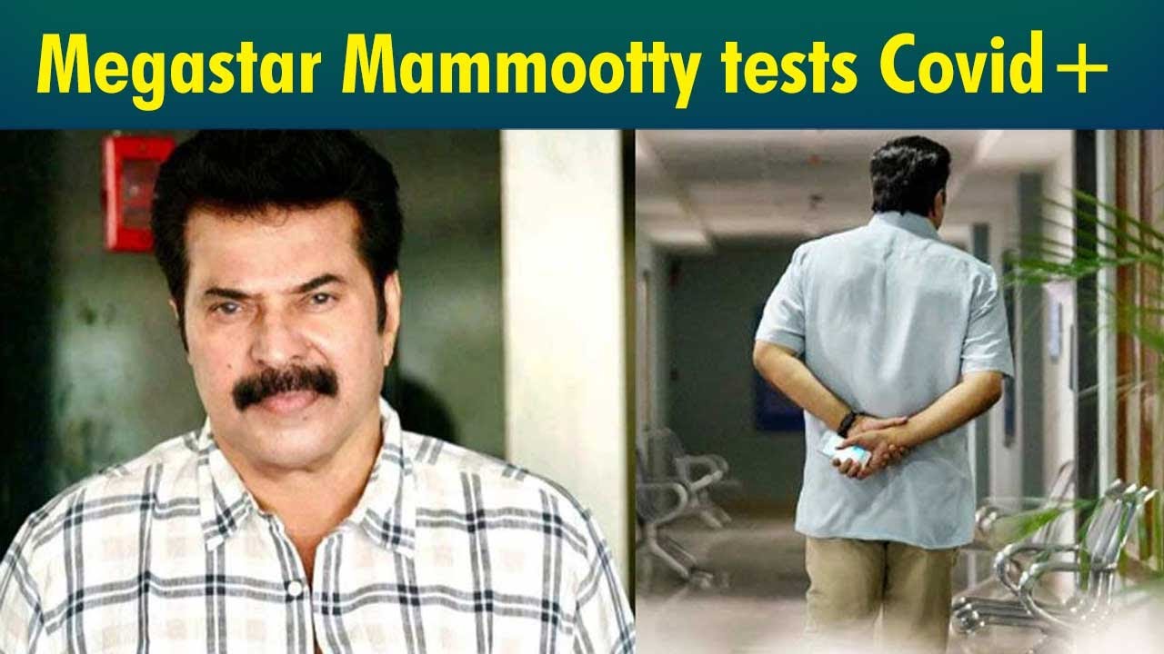 CBI 5 shooting halted, Mammootty contracts Covid!